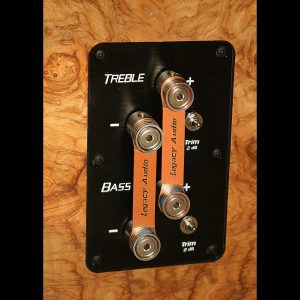 Legacy Audio Focus SE passive speaker - Floor standing audiophile Speaker Back Panel